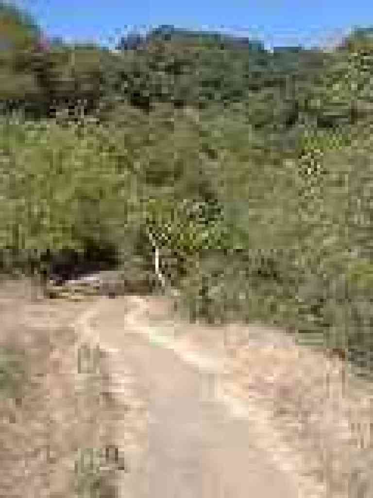 Seven Springs Trail