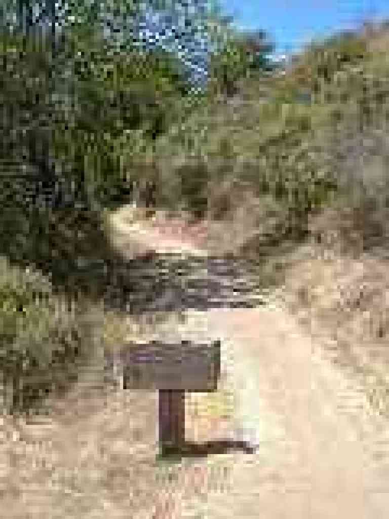 Seven Springs Trail