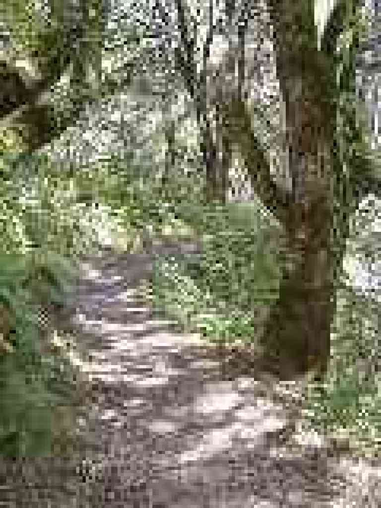 Fault Trail