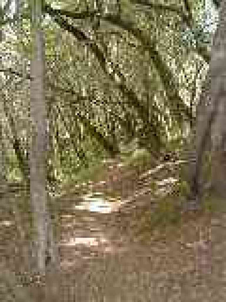 Franciscan Loop Trail