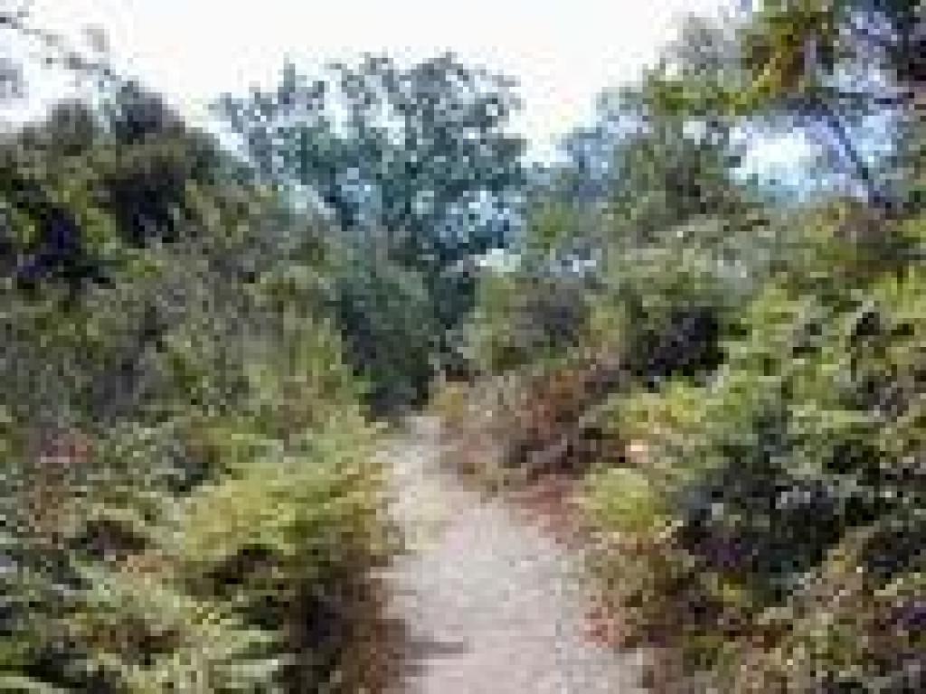 Franciscan Loop Trail