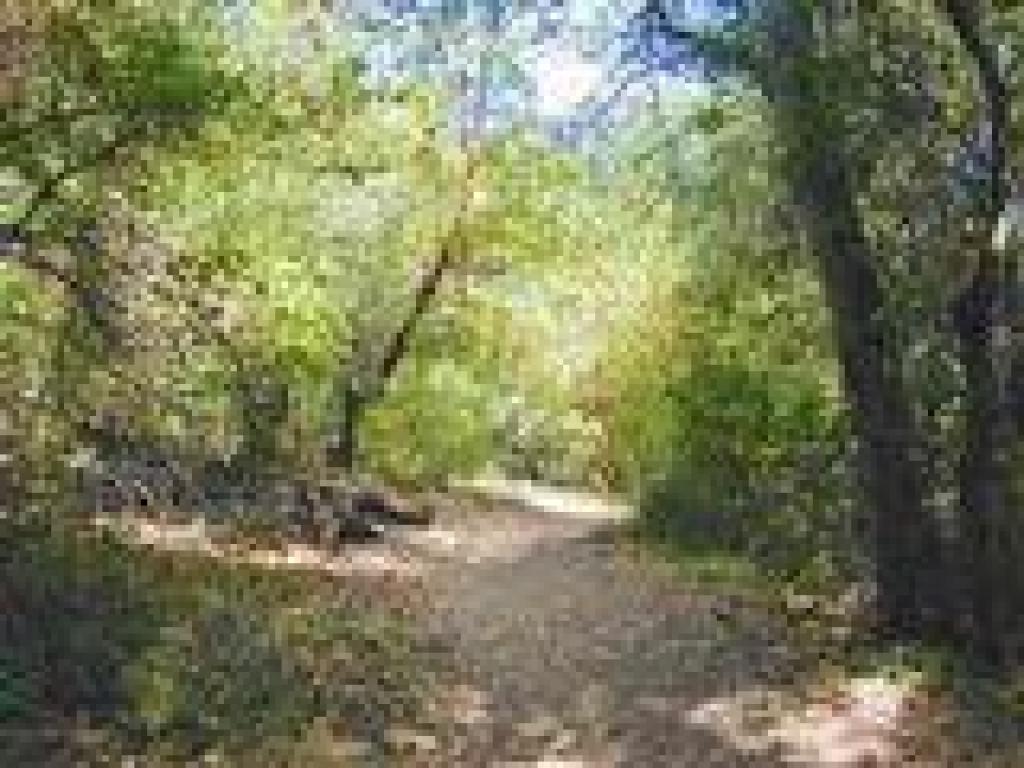North Orchard Trail