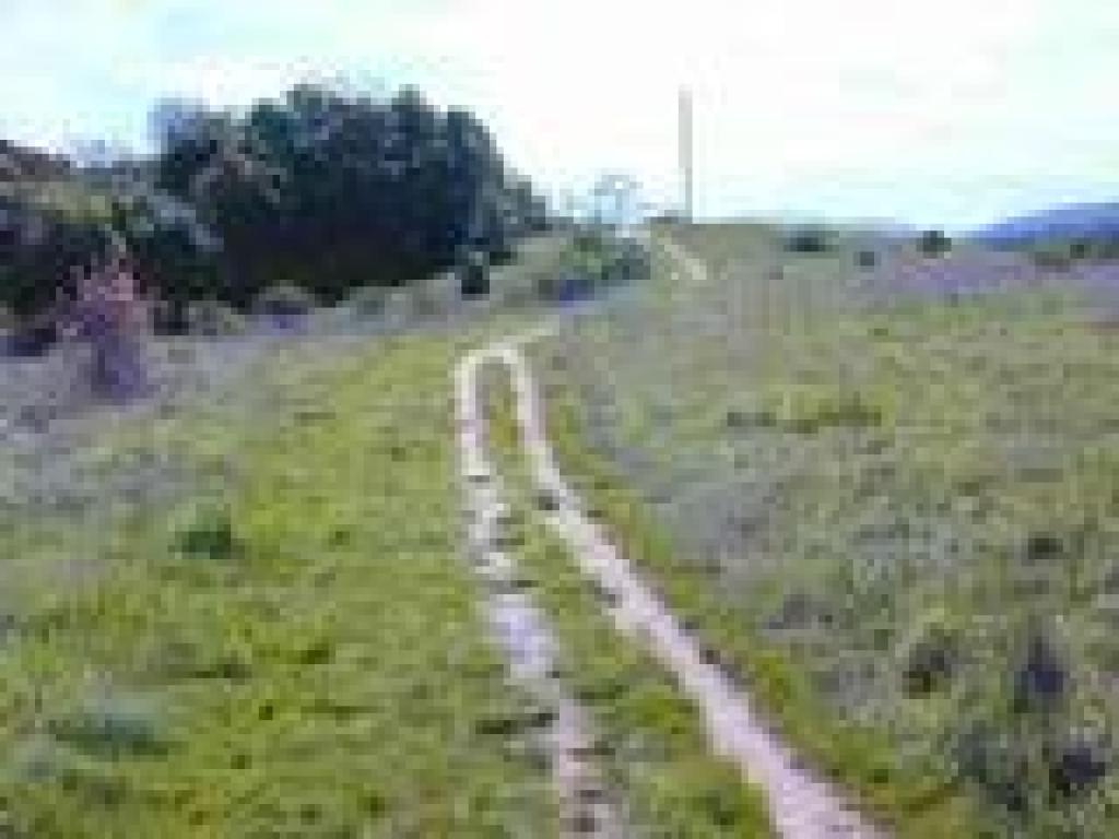 White Oak Trail