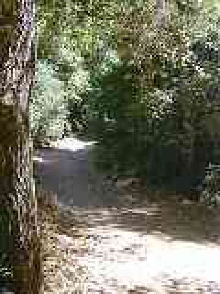 Steep section