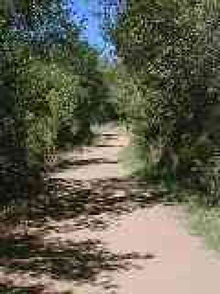 Canyon Trail