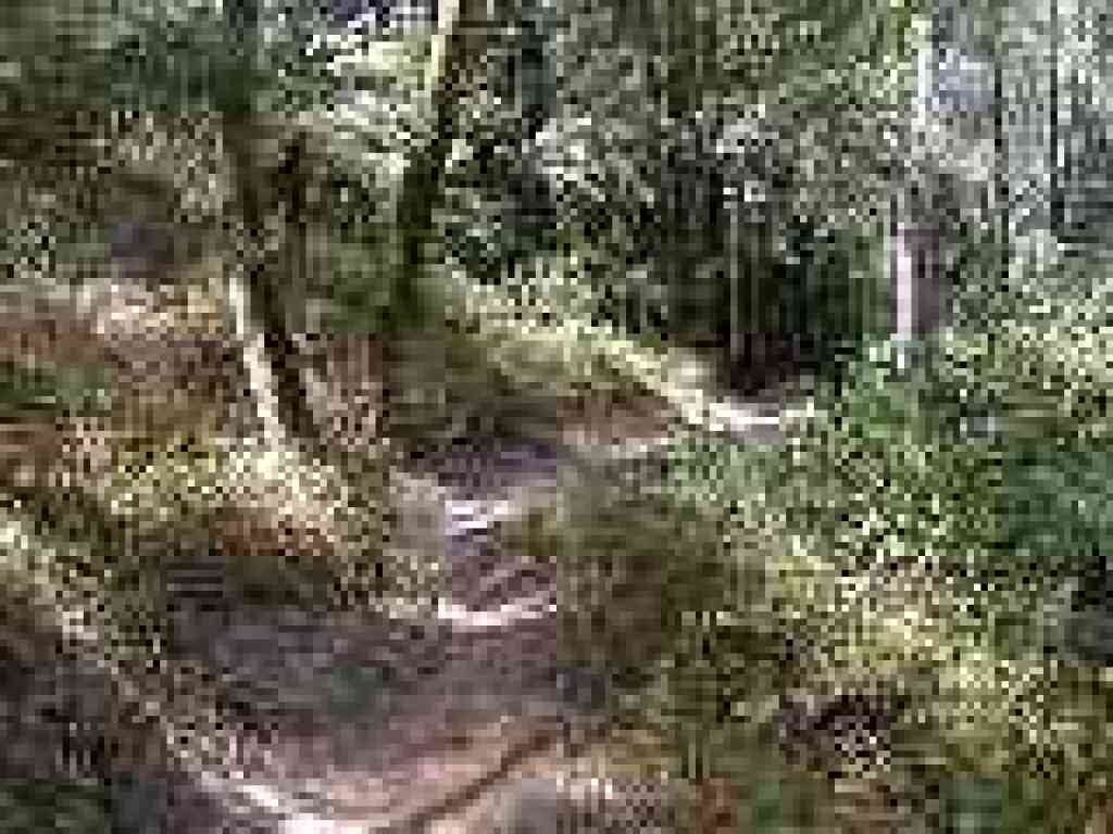 Miramontes Trail