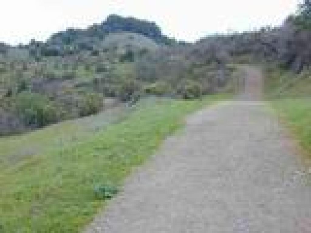 Zinfandel Trail
