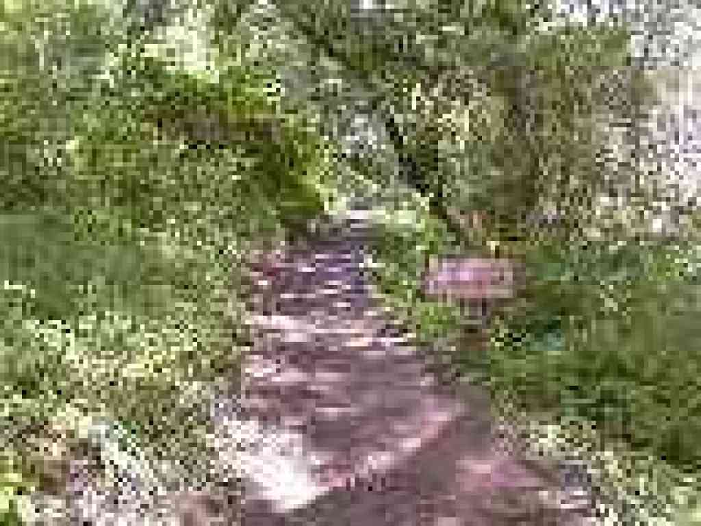 Polly Geraci Trail