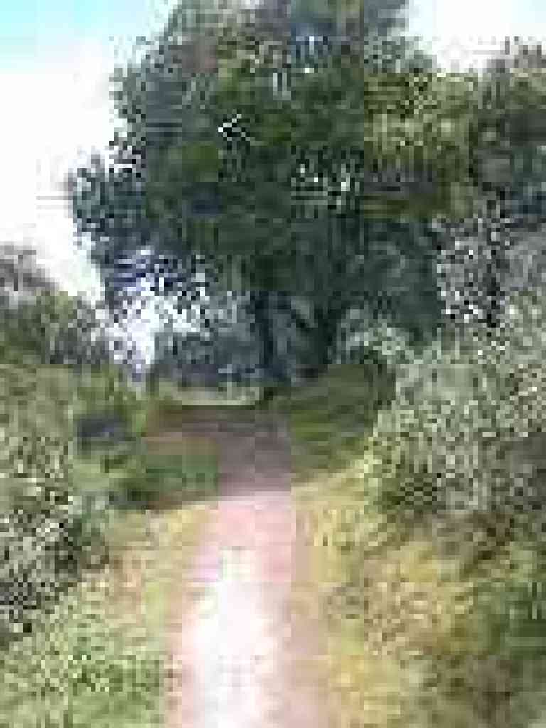 Near end of trail