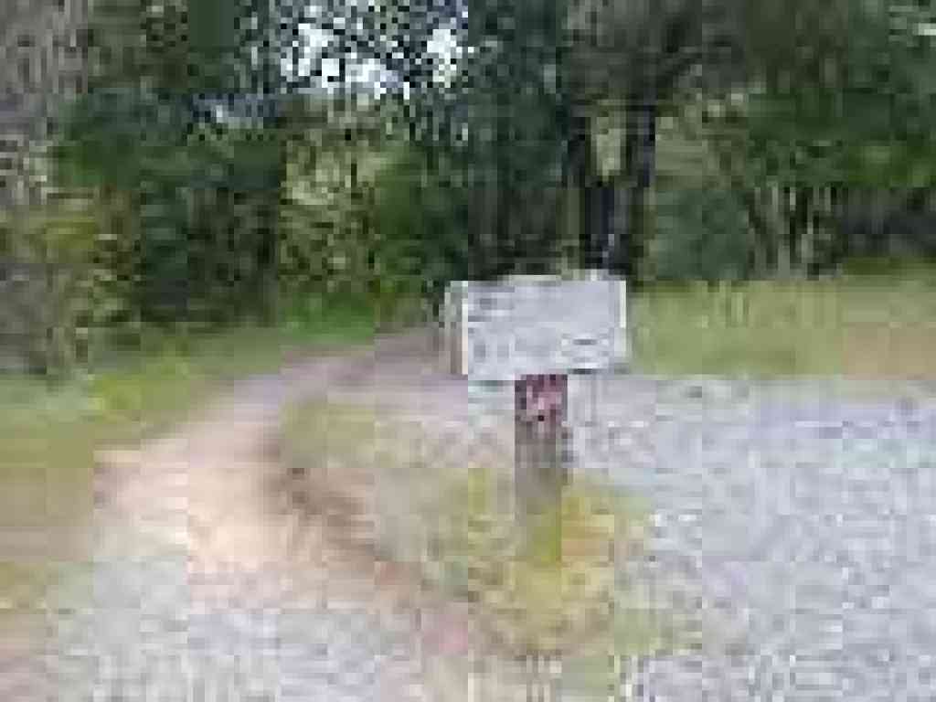 Start of Black Oak Trail
