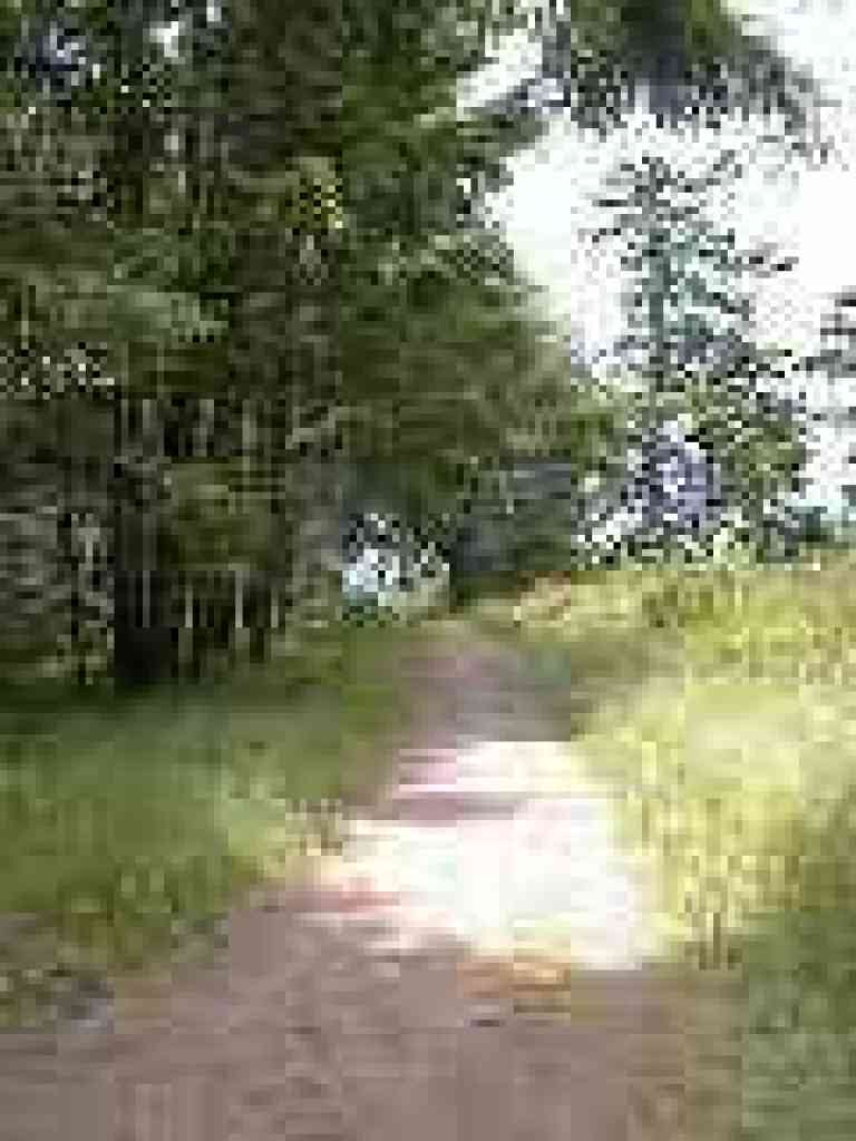 Harkins Ridge Trail