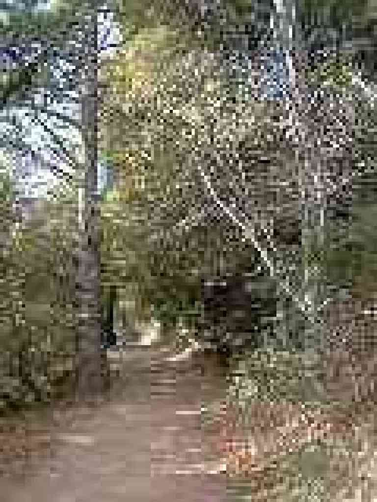 North Ridge Trail