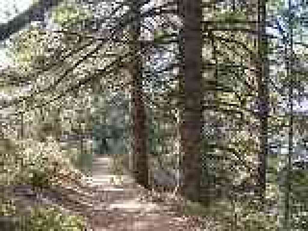 Whittemore Gulch Trail