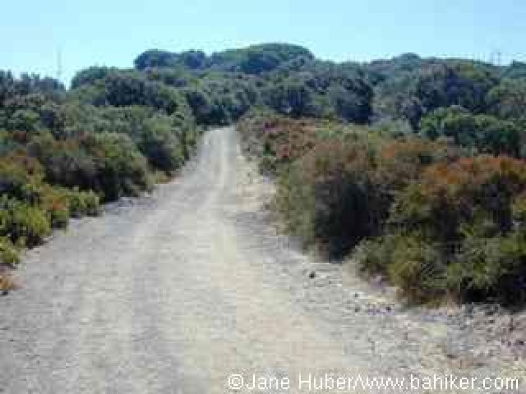 Black Mountain Trail