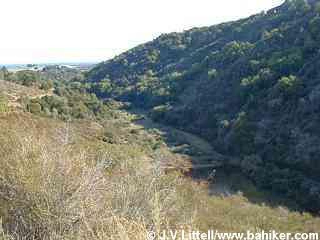 Photo from Chamise Trail, down into a canyon