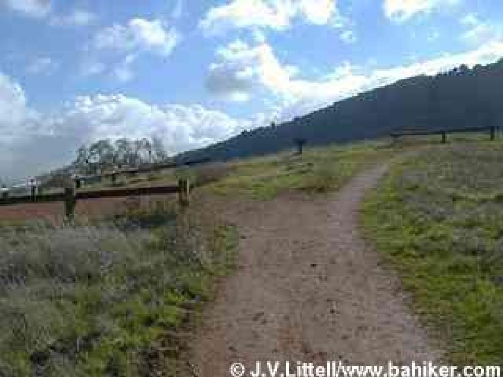 Photo of path to crest along Hidden Meadow Trail