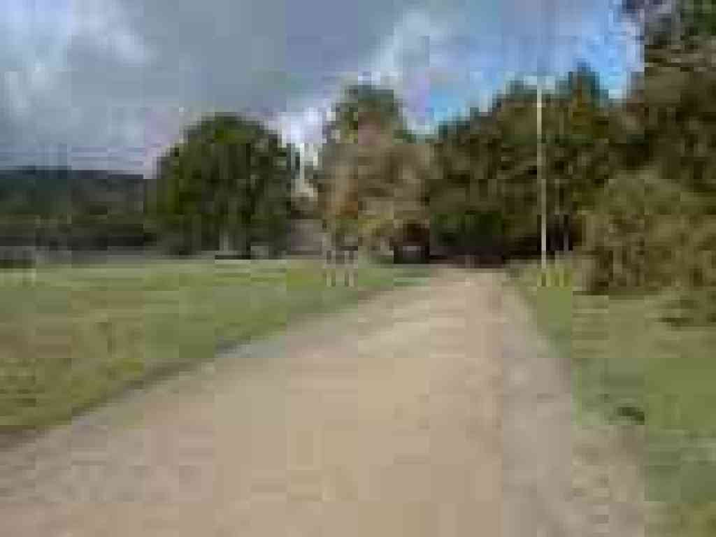 Photo of trail through meadow