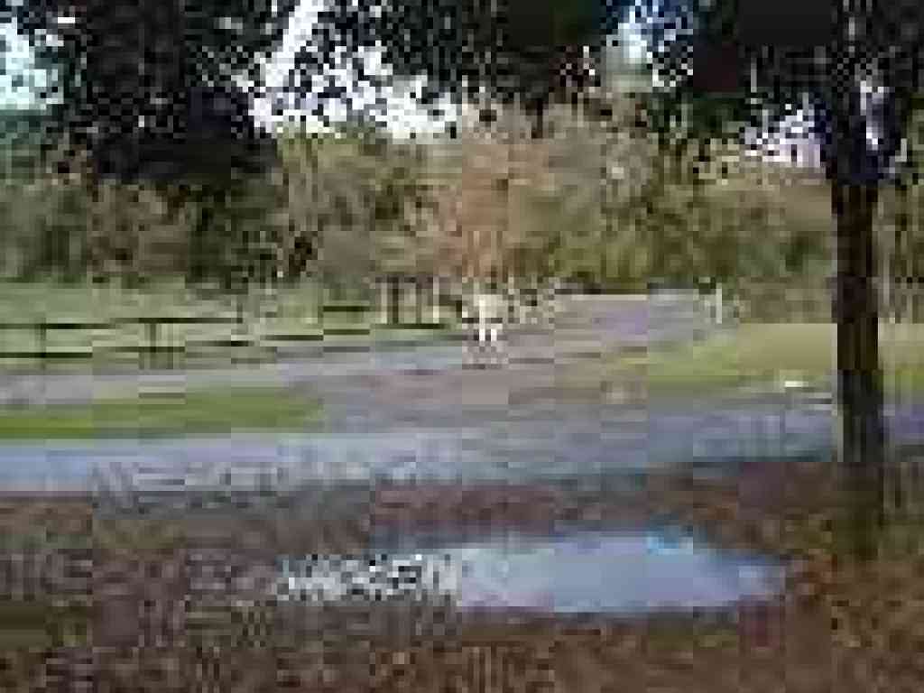 Photo of border between county park and open space preserve