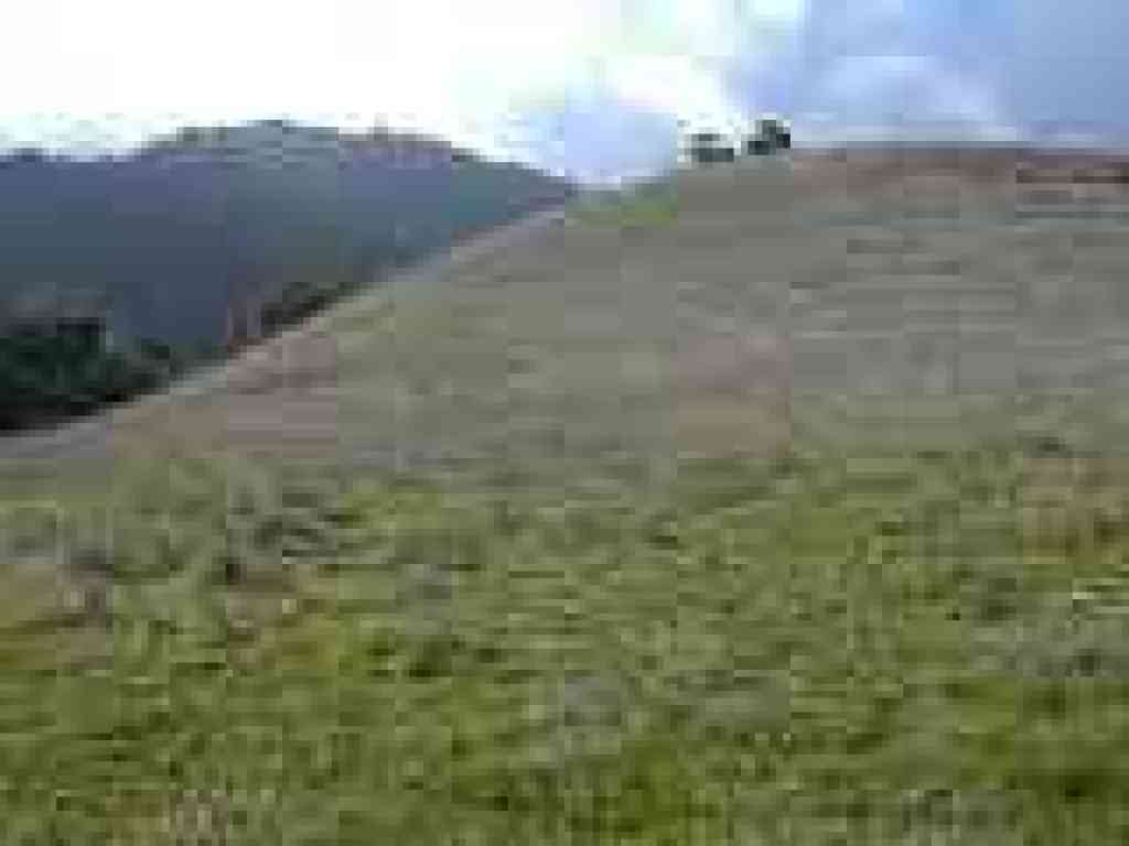Photo of contrast between grassy knoll and the slopes of Black Mountain