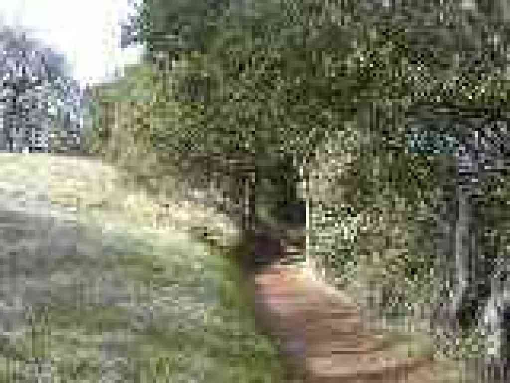 Photo of High Meadow Trail