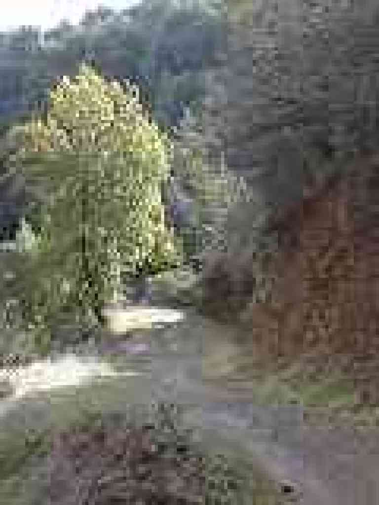 Photo of trail descending into canyon