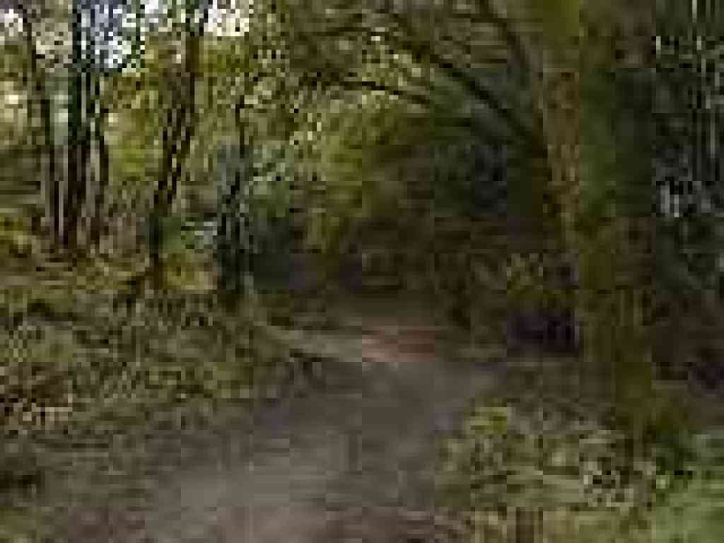 Photo of Upper Wildcat Trail