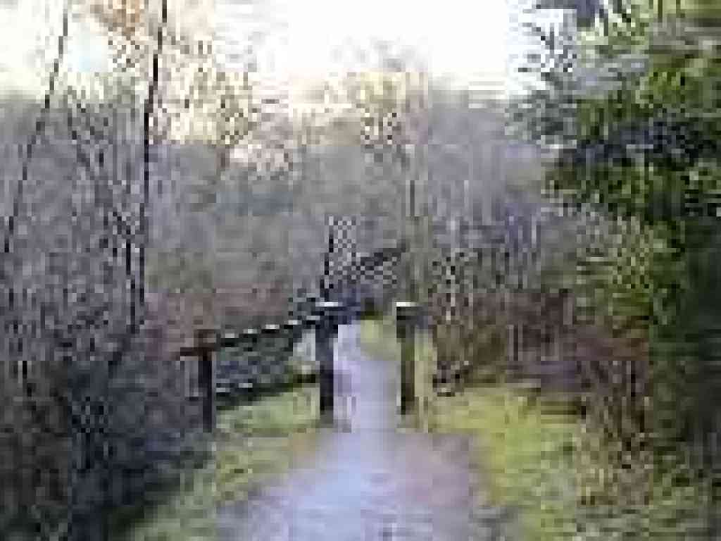 Photo of Wildcat Canyon Trail