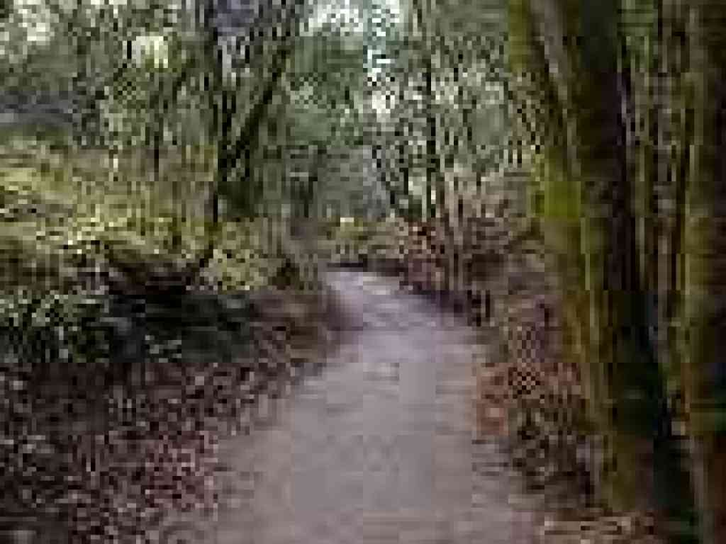 Photo of Wildcat Creek Trail