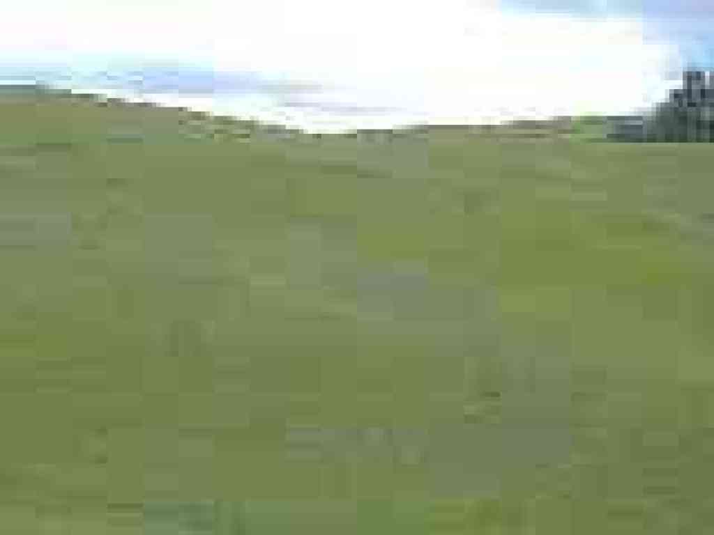 Grassy hillside