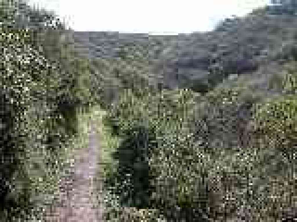 Hazelnut Trail