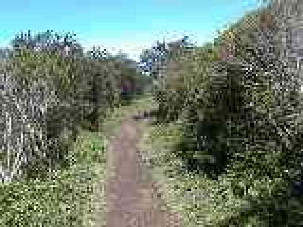 Hazelnut Trail