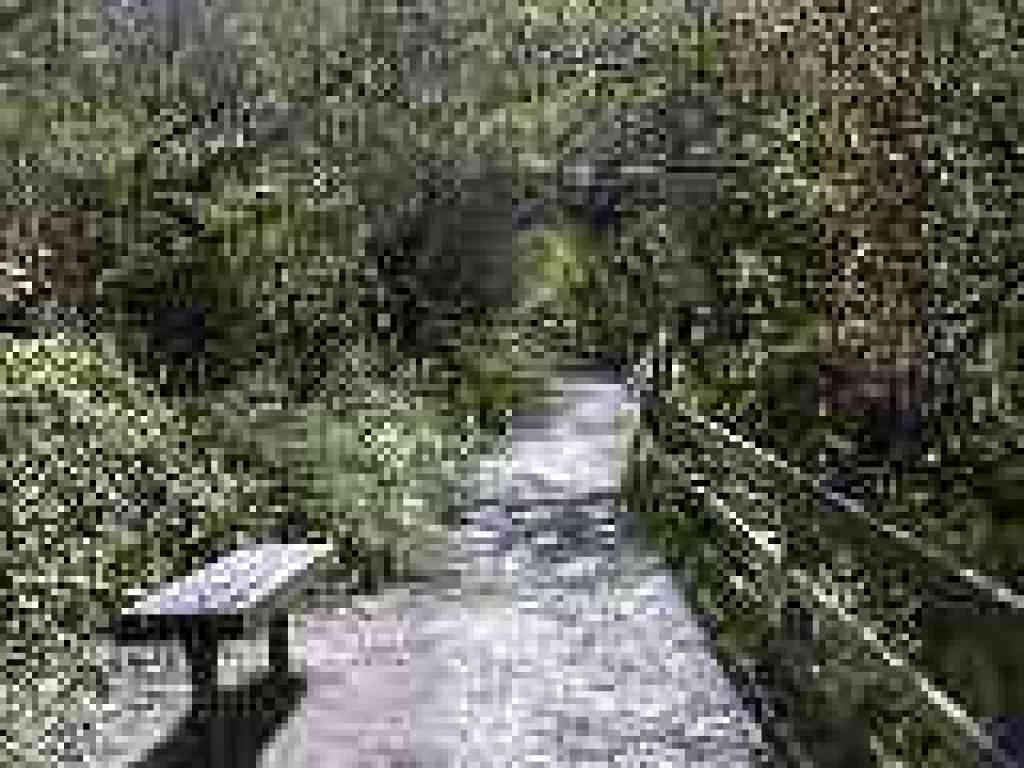 Plaskon Nature Trail