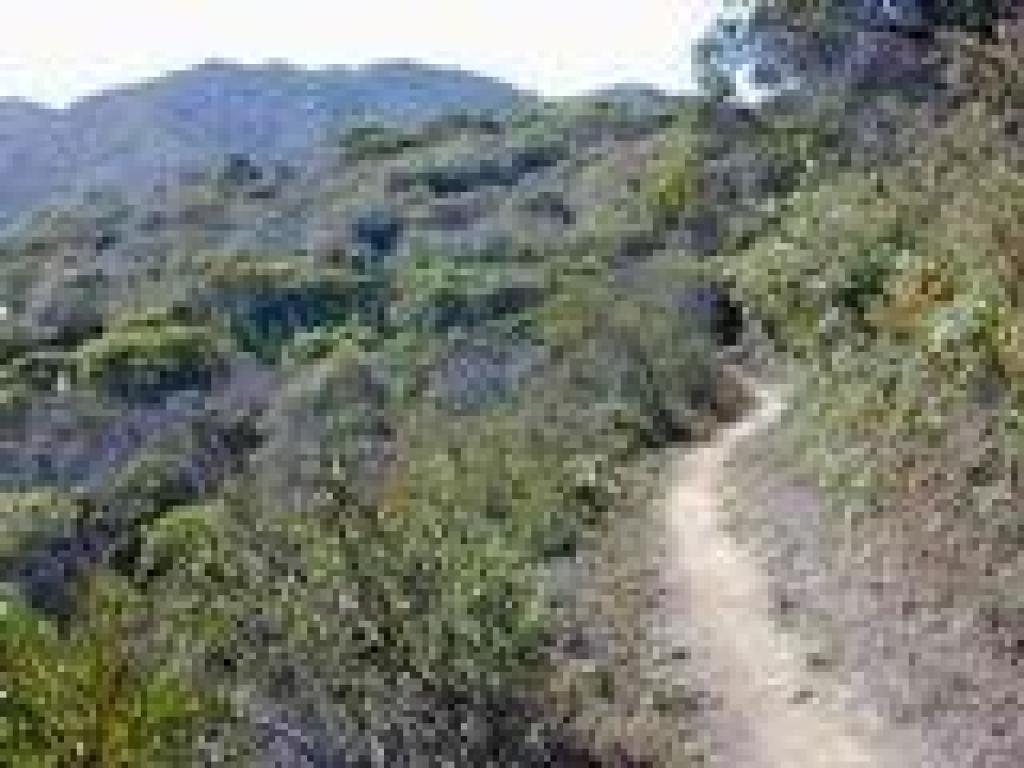 Montara Mountain Trail