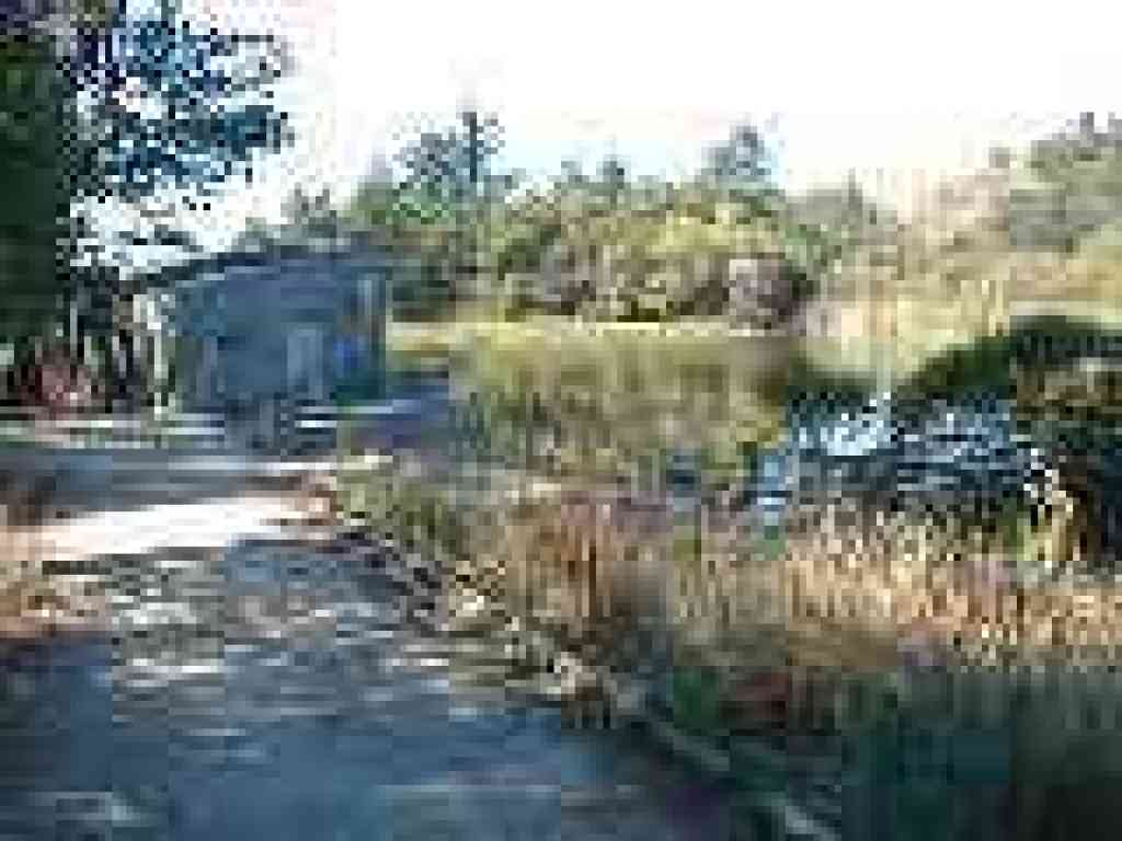 Nature Center and pond