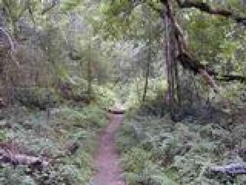 Heritage Grove Trail