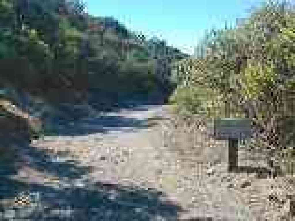 Manzanita Trail