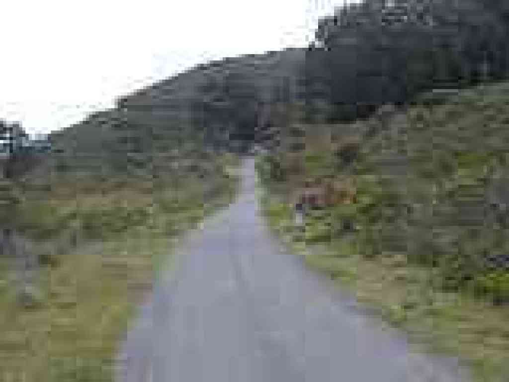 Sneath Lane Trail
