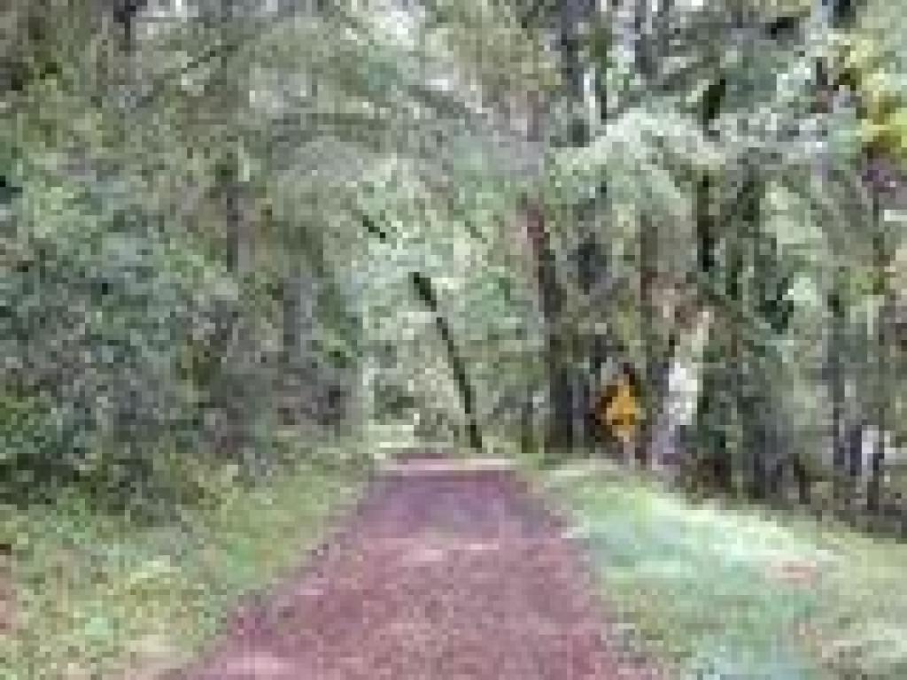 Table Mountain Trail