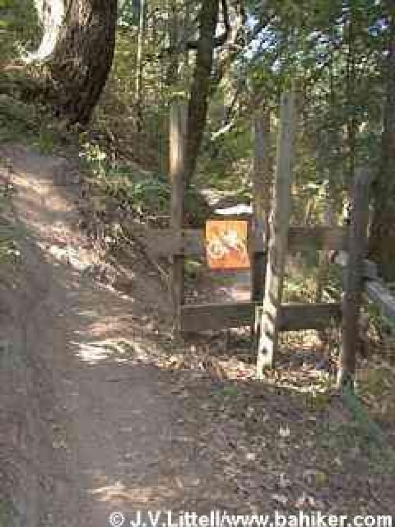 Bike tracks around a stile at Upper Stevens Creek County Park