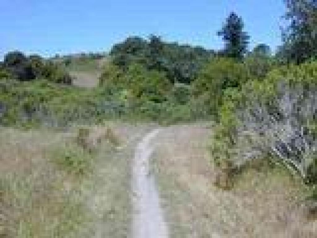 Twin Oaks Trail