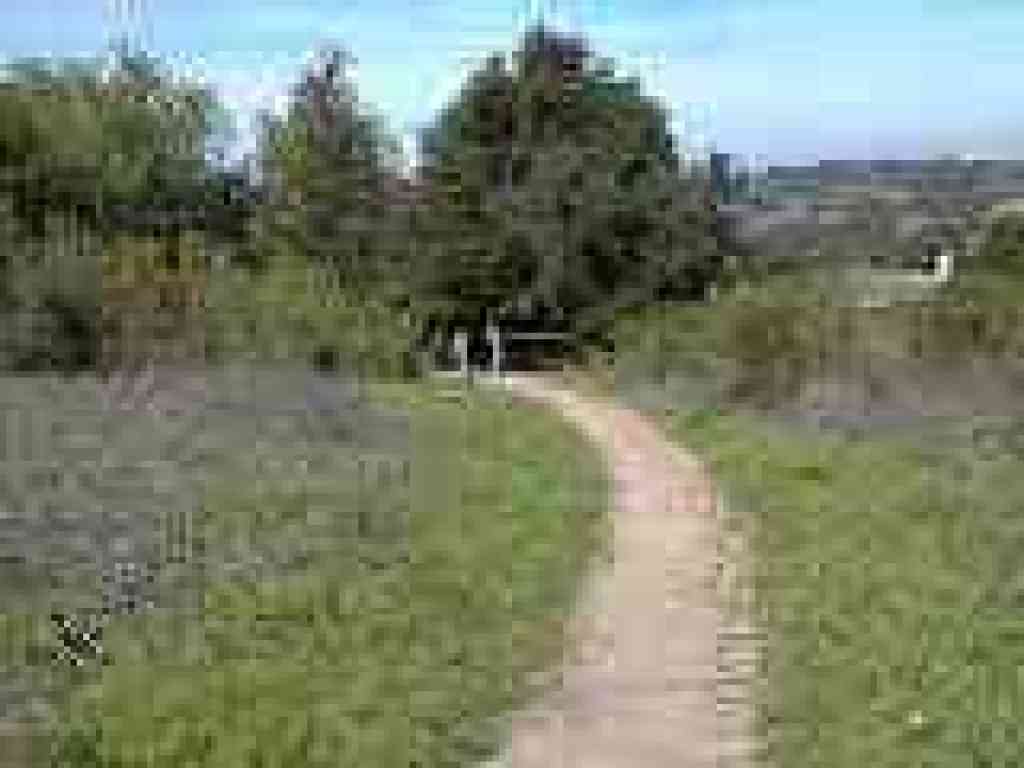Sausal Trail