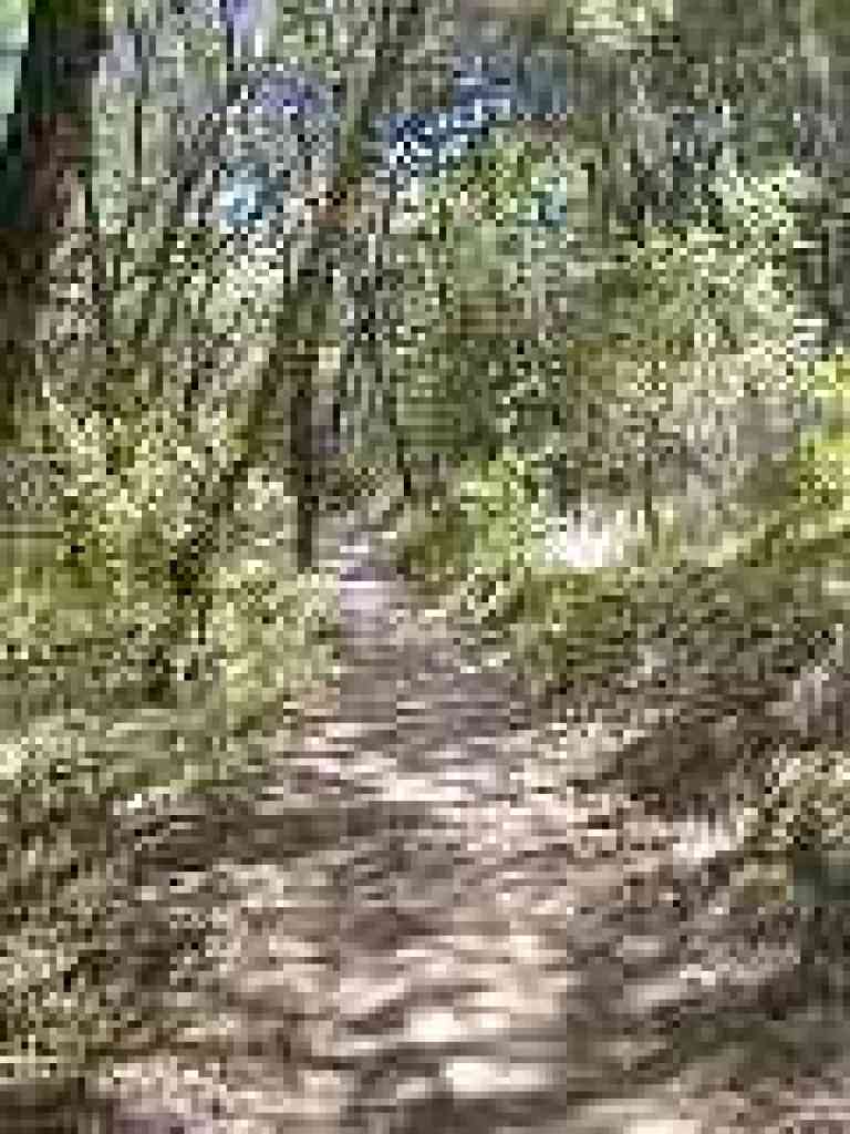 Bear Gulch Trail