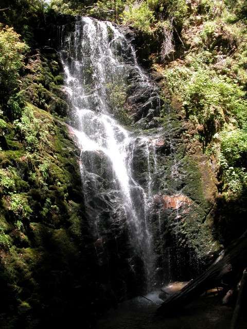 Bay Area Hiker Big Basin Redwoods State Park Waterfall Loop Big Basin Hiking Trails