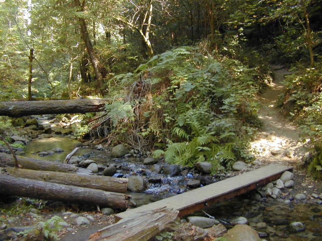 Bay Area Hiker Fall Creek Unit