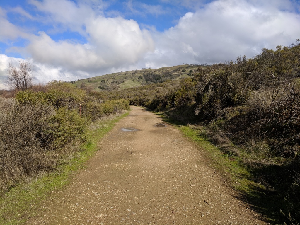 are dogs allowed at joseph d grant campground