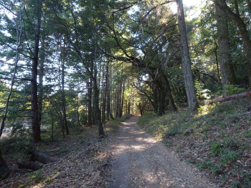 long ridge trail