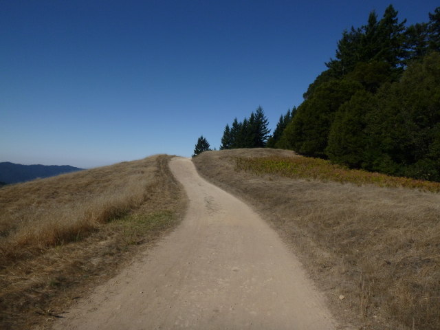 Long Ridge Along the ridge