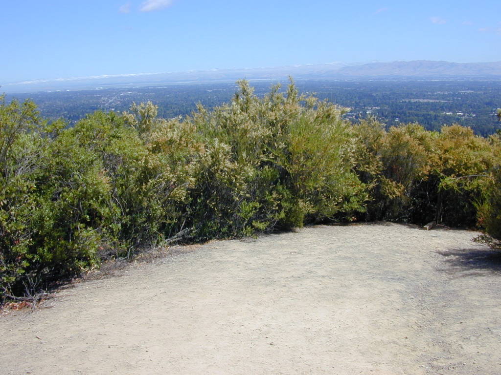 Villa Montalvo Hiking Trails Bay Area Hiker: Villa Montalvo
