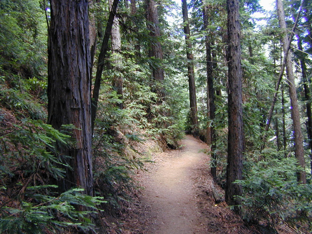 Villa Montalvo Hiking Trails Bay Area Hiker: Villa Montalvo