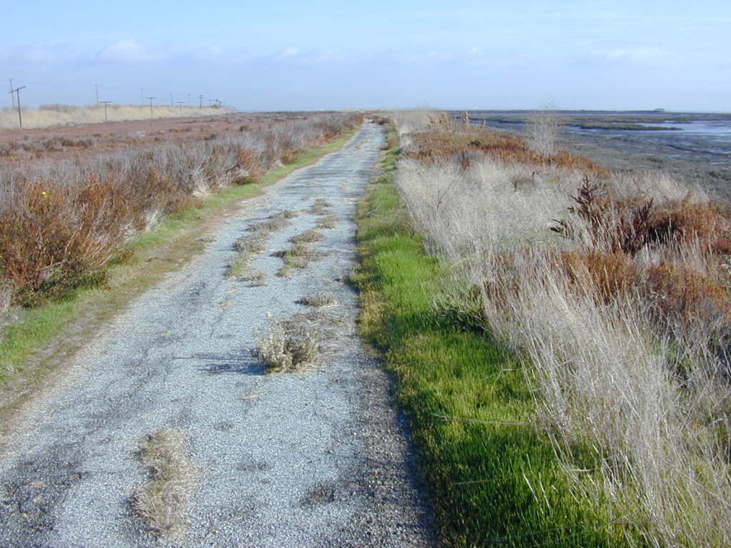 Seventh Avenue Trail